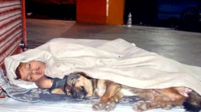Homeless Boy sleeping on a footpath with a dog