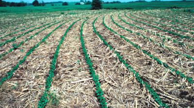 Scheme for purchase of Agricultural machinery for in situ management of  paddy straw