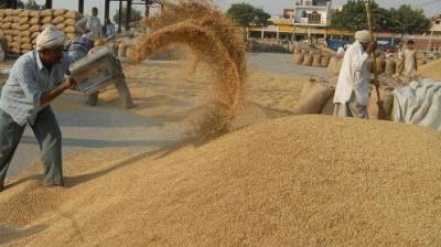 Paddy purchased 9381242 metric tonnes in the state