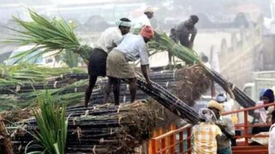 Food Ministry will give cheaper loans to sugar mills