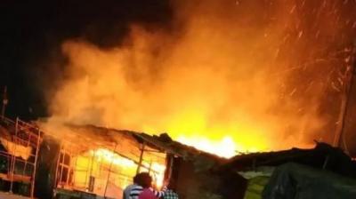 In the UP, pet dog saved life of 30 people