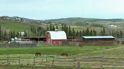 Rural Alberta 