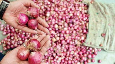 Onion price doubled in august month 
