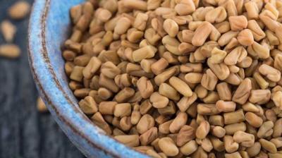 Fenugreek 