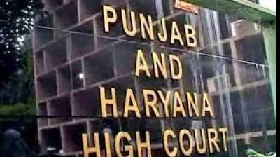 punjab and haryana high court