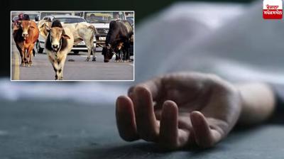 Bhadson Patiala  Accident News