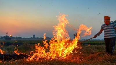 Punjab Stubble Burning News