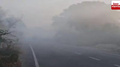 Bihar's minimum temperature reaches 7.9 degrees Celsius, fog in 8 cities