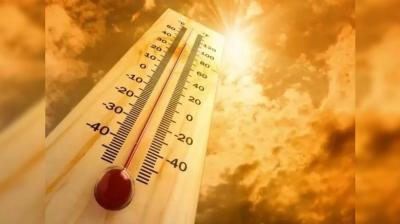Boy dead due to punjab hot weather news in punjabi 