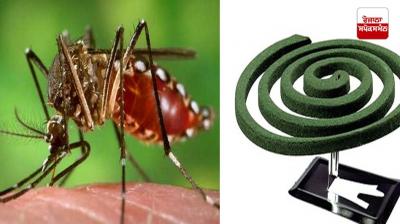 If you are using Kundli to repel mosquitoes, be careful?