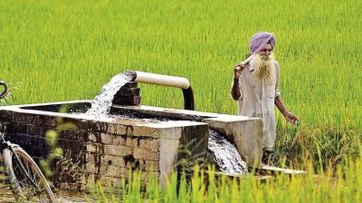 Govt to provide tube well connection for small farmers Farming News: 