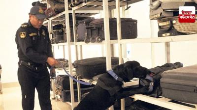 Dogs trained by Atari are helping to stop drug smuggling News
