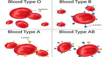 blood group