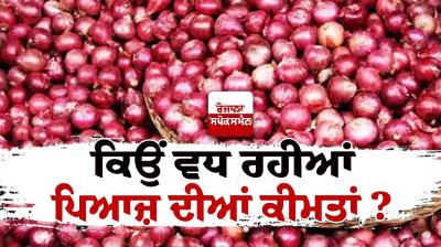 Onion Price Hike News