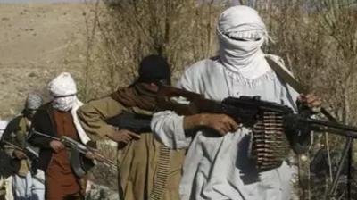  14 Al-Qaeda terrorists arrested News