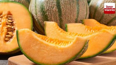 Melon is very beneficial for Health