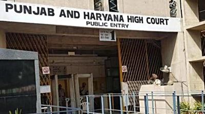 Punjab News: Important questions raised by the High Court to curb drug trafficking