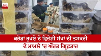 Woman arrested in the case of smuggling of foreign snakes worth crores of rupees