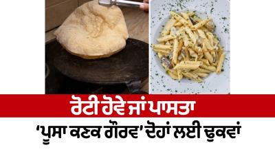 Be it roti or pasta, 'Pusa Wheat Gaurav' is suitable for both News