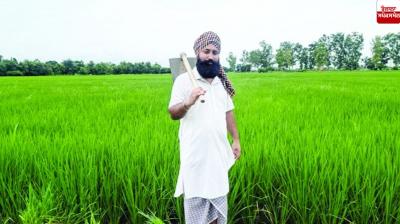 Progressive Farmer Karamjit Singh Dhaliwal Gurdaspur News