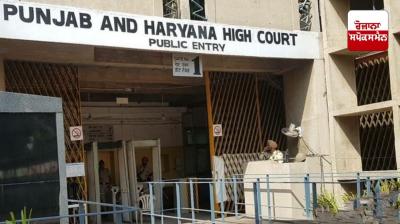 High Court bans felling of trees on Mohali Airport Road