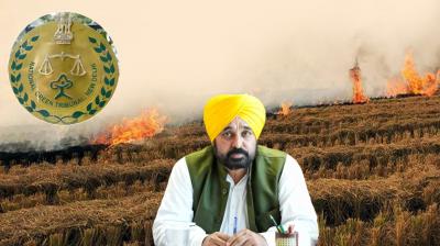 Stubble Burning News 