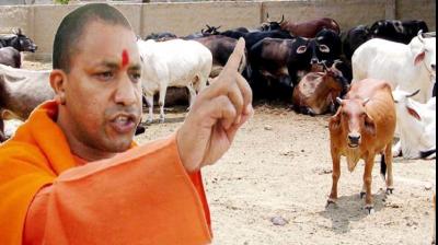 Yogi Adityanath