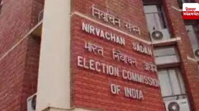 Indian EVMs cannot be hacked: Election Commission