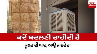 When should the cooler grass be replaced Household Things News