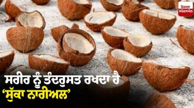 Dry coconut keeps the body healthy