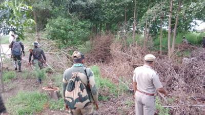  Drone seen on Pathankot border, BSF fired