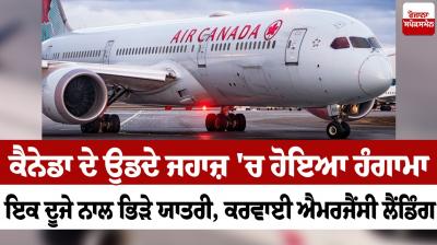 There was a commotion in Canada's flying plane, passengers fighting with each other News in punjabi 