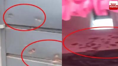 Shots fired at a married house in Firozpur News in punjabi 