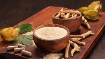 Ashwagandha may play a vital role in treatment of coronavirus says iit delhi