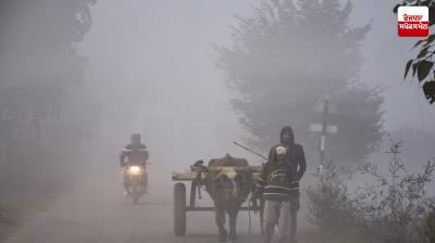 Punjab Weather Update