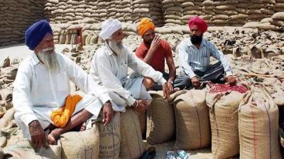 Procurement agencies decide to resume procurement of wheat