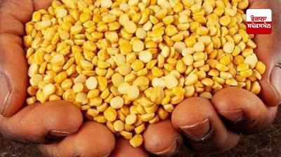 Chickpeas are beneficial for health