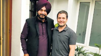 navjot singh sidhu met rahul gandhi