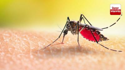 Follow these home remedies to protect yourself from mosquitoes