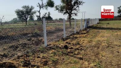 ਕੰਡਿਆਲੀ ਤਾਰ ਤੋਂ ਪਾਰ ਜ਼ਮੀਨਾਂ ਵਾਲੇ ਕਿਸਾਨਾਂ ਨੂੰ ਮਿਲੀ ਵੱਡੀ ਰਾਹਤ, ਅੱਜ ਖੁੱਲ੍ਹਣਗੇ ਗੇਟ 
