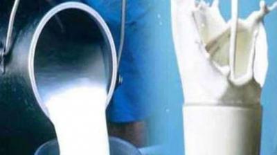 milk rate rs 100 per litre