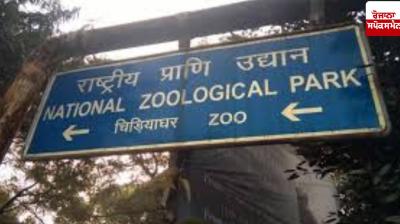 Jackals escape from Delhi Zoo, investigation begins