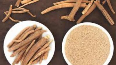 Ashwagandha is an elixir for the body