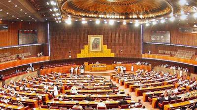 Terror of mice in the Pakistani Parliament, 12 lakh bought hunting cats