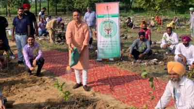 CABINET MINISTER AMAN ARORA LAUNCHES 'AMRIT VAN' CAMPAIGN TO AFFOREST 600 ACRES OF PANCHAYAT LAND IN SANGRUR
