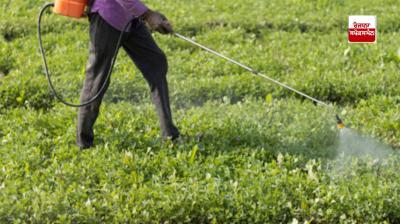 Central govt food subsidy bill at two year high while fertilizer subsidy declines to two year low: Report