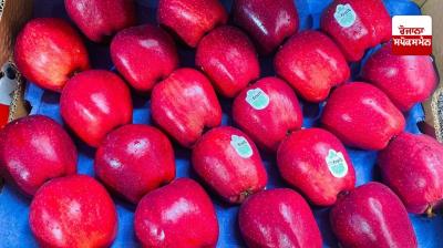 Indian businessmen make big announcement after supporting Pakistan during 'Operation Sindoor'