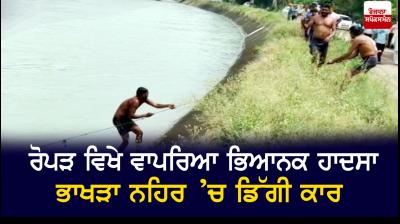 Car fell into Bhakra canal