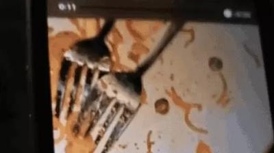 Sundi in noodles Jalandhar News in punjabi 