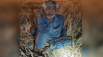 1 Pakistani intruder arrested at Tarn Taran border News in punjabi 